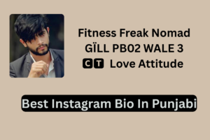 250+ Best Instagram Bio In Punjabi For Boys & Girls 2025