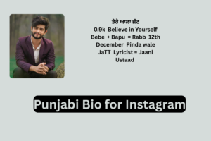 250+ Best Instagram Bio In Punjabi For Boys & Girls 2025