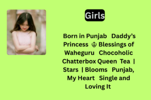 250+ Best Instagram Bio In Punjabi For Boys & Girls 2025