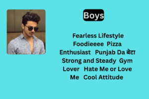 250+ Best Instagram Bio In Punjabi For Boys & Girls 2025