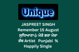 250+ Best Instagram Bio In Punjabi For Boys & Girls 2025