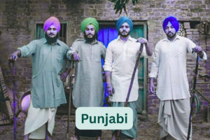 250+ Best Instagram Bio In Punjabi For Boys & Girls 2025
