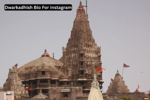 209+ Best Dwarkadhish Bio For Instagram || Krishna Bio 2025