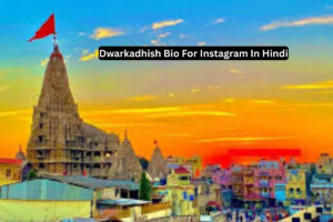 209+ Best Dwarkadhish Bio For Instagram || Krishna Bio 2025