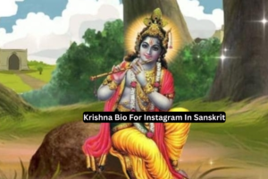 209+ Best Dwarkadhish Bio For Instagram || Krishna Bio 2025