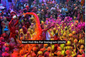 499+ Best Holi Bio For Instagram [2025]