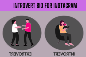 300+ 😶‍🌫New Introvert Bio For Instagram [2025]