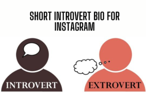 300+ 😶‍🌫New Introvert Bio For Instagram [2025]