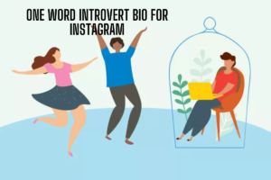 300+ 😶‍🌫New Introvert Bio For Instagram [2025]