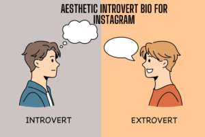300+ 😶‍🌫New Introvert Bio For Instagram [2025]