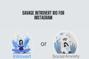 300+ 😶‍🌫New Introvert Bio For Instagram [2025]