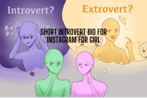300+ 😶‍🌫New Introvert Bio For Instagram [2025]