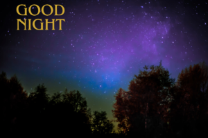Good Night