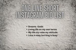 Best 300+ One Line Bio For Instagram (Copy & Paste)