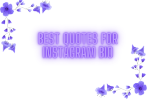 140+ Best Quotes For Instagram Bio to Elevate Your Profile