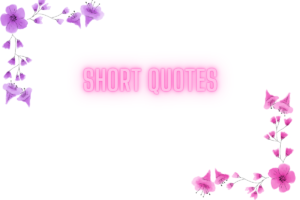 140+ Best Quotes For Instagram Bio to Elevate Your Profile