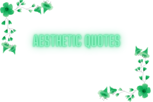 140+ Best Quotes For Instagram Bio to Elevate Your Profile