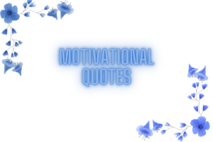 140+ Best Quotes For Instagram Bio to Elevate Your Profile