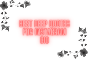 140+ Best Quotes For Instagram Bio to Elevate Your Profile
