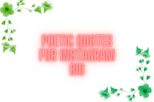 140+ Best Quotes For Instagram Bio to Elevate Your Profile