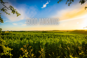 New Good Morning Images