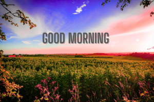 New Good Morning Images
