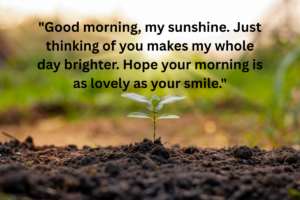 Beautiful Good Morning Images
