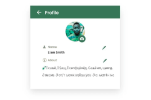 380+ Best WhatsApp Bio For Boys & Girls – Attitude & Stylish Bio For WhatsApp
