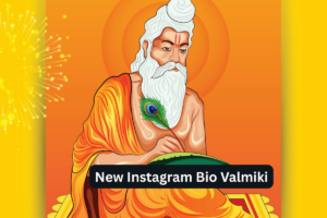 New Instagram Bio Valmiki