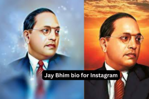 300+ Best Jay Bhim Bio For Instagram In Hindi