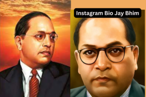 300+ Best Jay Bhim Bio For Instagram In Hindi