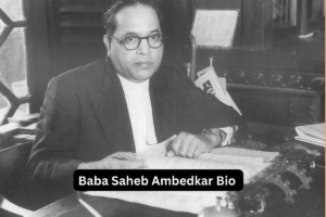 300+ Best Jay Bhim Bio For Instagram In Hindi