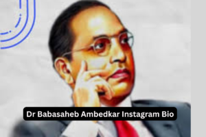 300+ Best Jay Bhim Bio For Instagram In Hindi