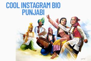Cool Instagram Bio Punjabi