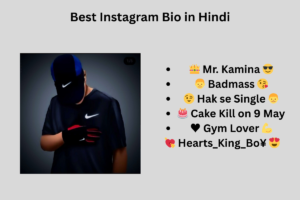 580+ Best Instagram Bio in Hindi – Attitude & VIP इंस्टाग्राम बायो (2025)