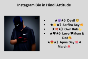 580+ Best Instagram Bio in Hindi – Attitude & VIP इंस्टाग्राम बायो (2025)