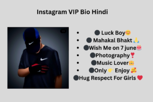 580+ Best Instagram Bio in Hindi – Attitude & VIP इंस्टाग्राम बायो (2025)