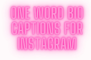 200+ One Word Bio Captions For Instagram (2025)