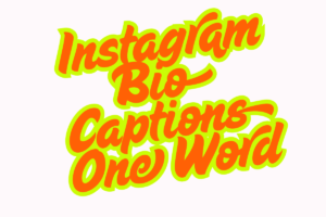 200+ One Word Bio Captions For Instagram (2025)