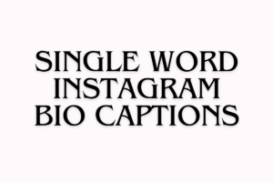 200+ One Word Bio Captions For Instagram (2025)