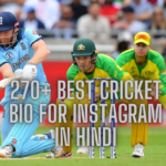 270+ Best Cricket bio for instagram In Hindi