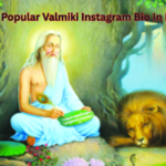 120+ Popular Valmiki Instagram Bio In Hindi