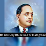 300+ Best Jay Bhim Bio For Instagram In Hindi