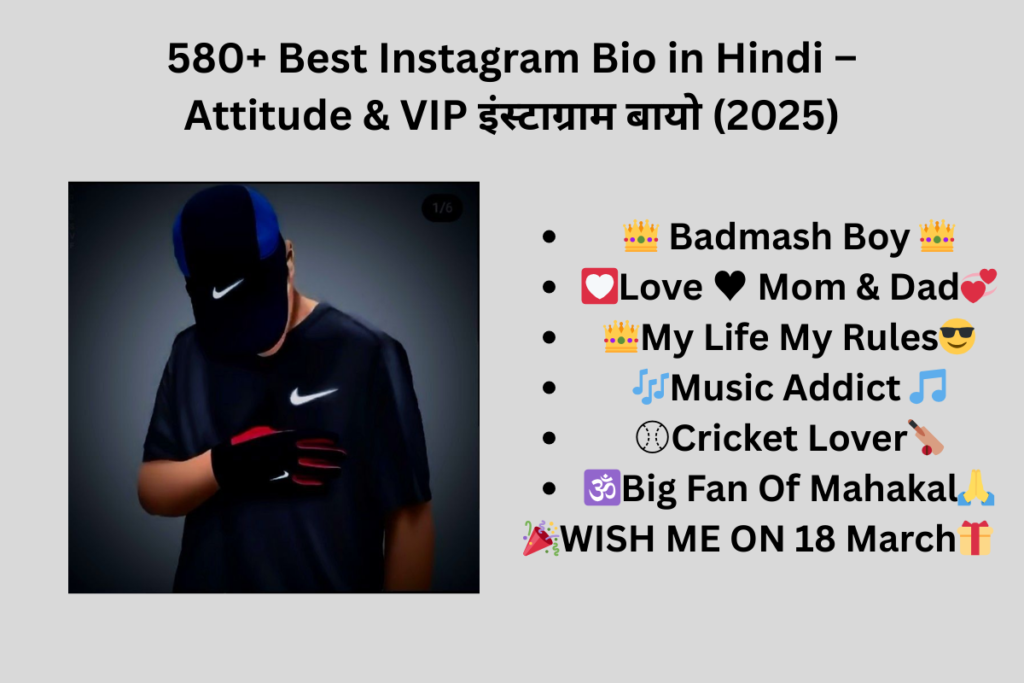 580+ Best Instagram Bio in Hindi – Attitude & VIP इंस्टाग्राम बायो (2025)