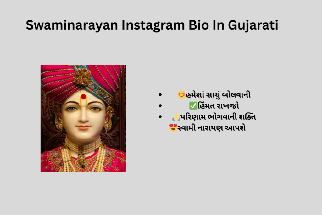 200+ Swaminarayan Bio For Instagram 2025