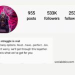 Free Fire Instagram Bio